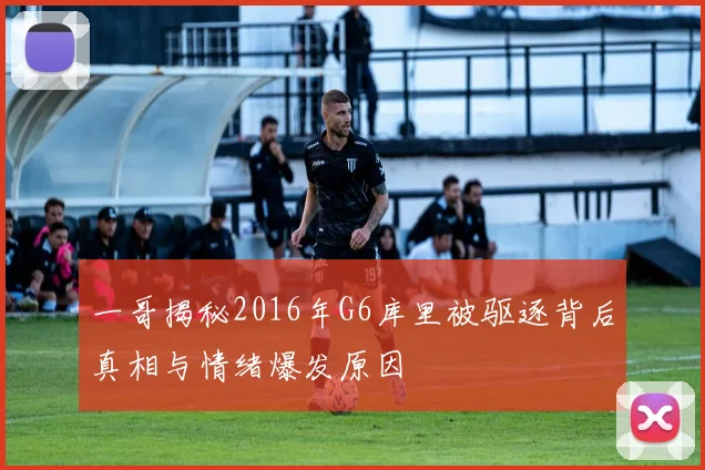 一哥揭秘2016年G6库里被驱逐背后真相与情绪爆发原因