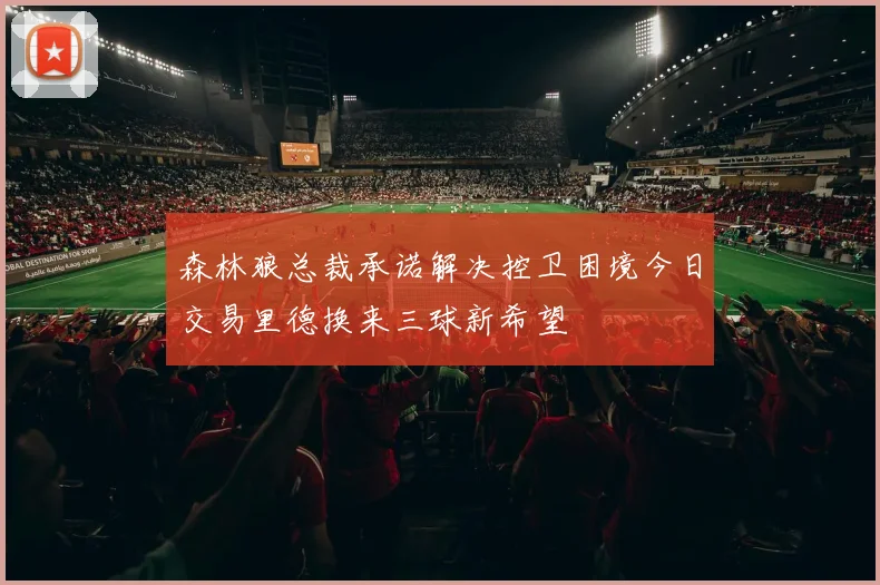 森林狼总裁承诺解决控卫困境今日交易里德换来三球新希望